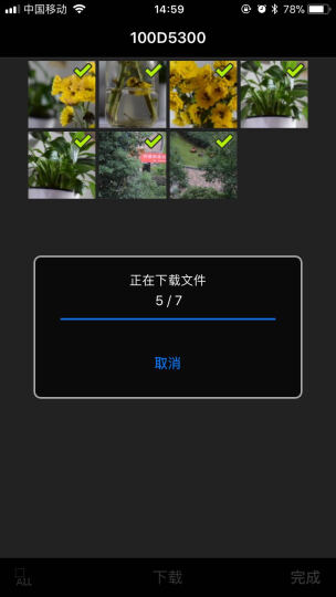 尼康(Nikon)D5300单反数码照相机 入门级双镜头套机(AF-P DX 18-55mm f/3.5-5.6G VR+DX 35/1.8G镜头) 晒单图