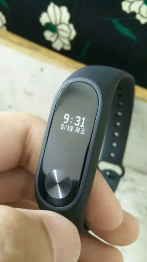 小乌龟活体怎么样_小乌龟活体多少钱_小乌龟