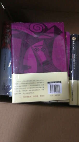 诺贝尔文学奖大系:约翰 克利斯朵夫(套装全4册) 晒单图