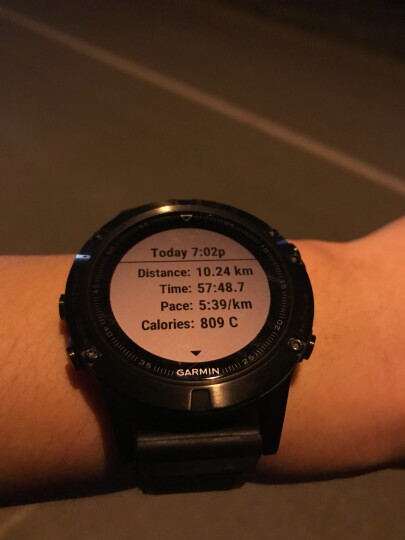 佳明 GARMIN Fenix5飞耐时5光学心率GPS多功能北斗三星定位登山跑步智能运动表游泳户外腕表英文版 晒单图