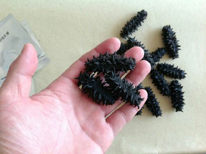 相生 淡干海参 干货 俄罗斯进口海参中号 50g1