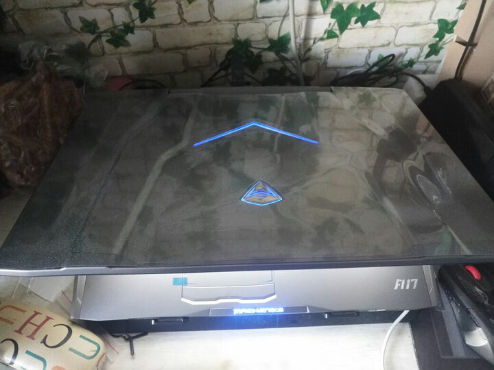 机械师F117-V全面屏游戏本九代i7-9750H/GTX1650独显吃鸡笔记本电脑 加强版9代i7/8G/512G PCIE固态 晒单图