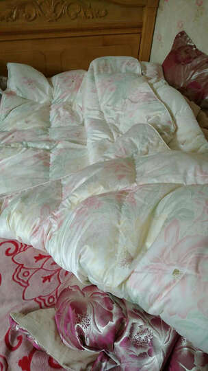富安娜家纺被子 羽绒被芯冬被白鹅绒被 伊琳娜