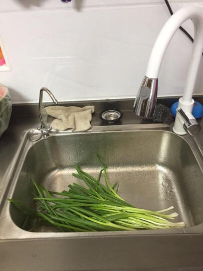 品勒(PiADLIEK)垃圾处理器厨房厨余粉碎机处理机家用可接洗碗机PL700 黑色+遥控 晒单图