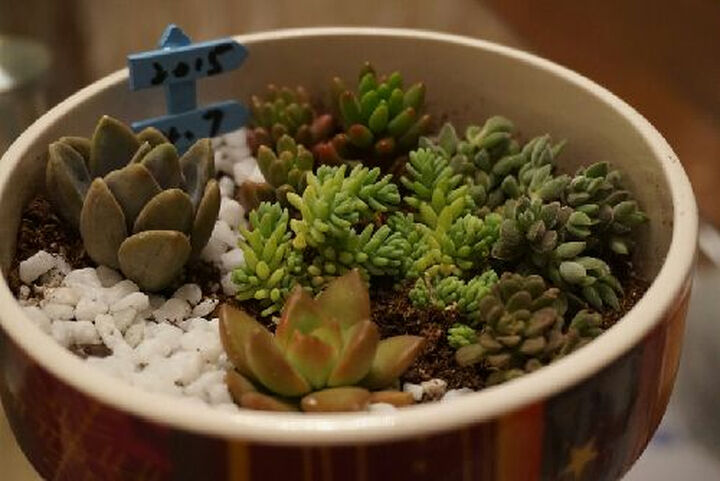 索尼(SONY) ILCE-5000L 微单单镜套机 白色 (1