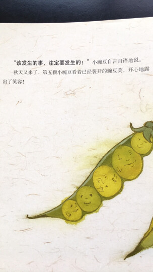 海豚绘本花园：五颗小豌豆 晒单图