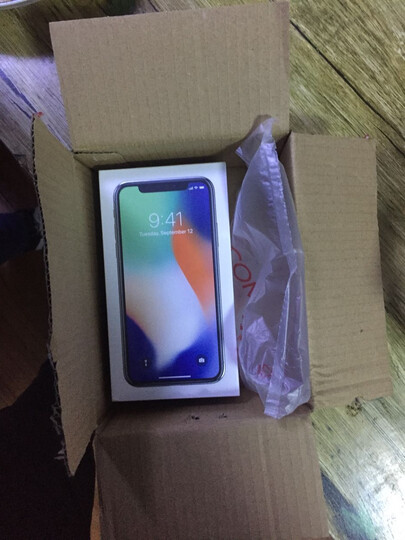 AppleiPhone X:总体很满意,没有出现什么红屏