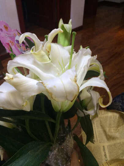 花锦集百合花鲜花速递花束礼盒女友老婆生日礼物全国同城送花店 19朵香水百合-H款 晒单图