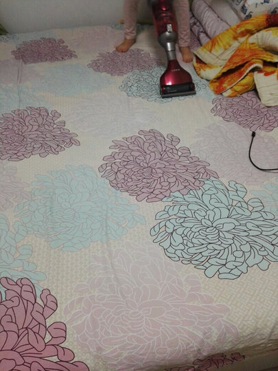 莱克VC-SPD503-1:昨天晚上下单,今天晚上收