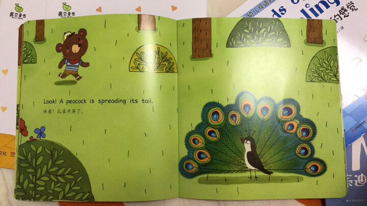 魔豆童书·ABC幼儿双语启蒙认知绘本（全8册） 晒单图