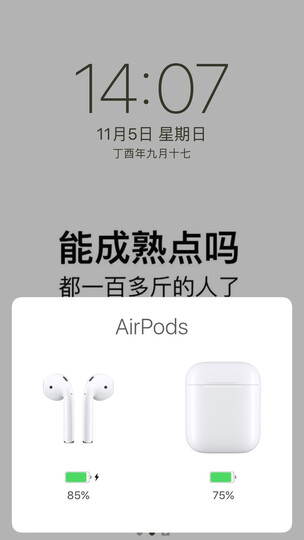 Apple 采用闪电接头的 EarPods 耳机/适用于iPhone7/8/X 晒单图