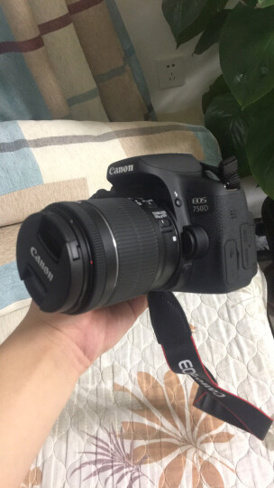 佳能（Canon）EOS 750D 单反相机 单反套机（EF-S 18-55mm f/3.5-5.6 IS STM 单反镜头） 晒单图