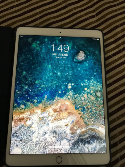 【原厂延保版】Apple iPad Pro 平板电脑 10.5 英寸(512G WLAN版/A10X芯片/Retina屏/Multi-Touch)金色 晒单图