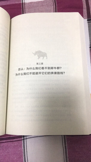 灰犀牛:如何应对大概率危机 晒单图