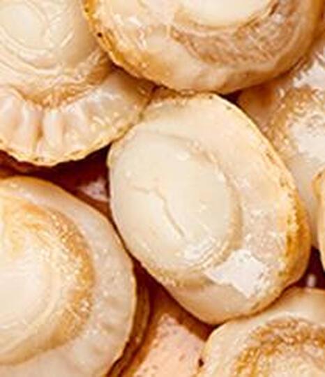 獐子岛 大连冷冻即食海参 60g 1头 袋装 海鲜水产 晒单图