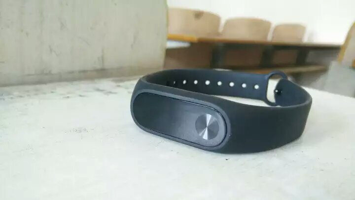 小乌龟活体怎么样_小乌龟活体多少钱_小乌龟