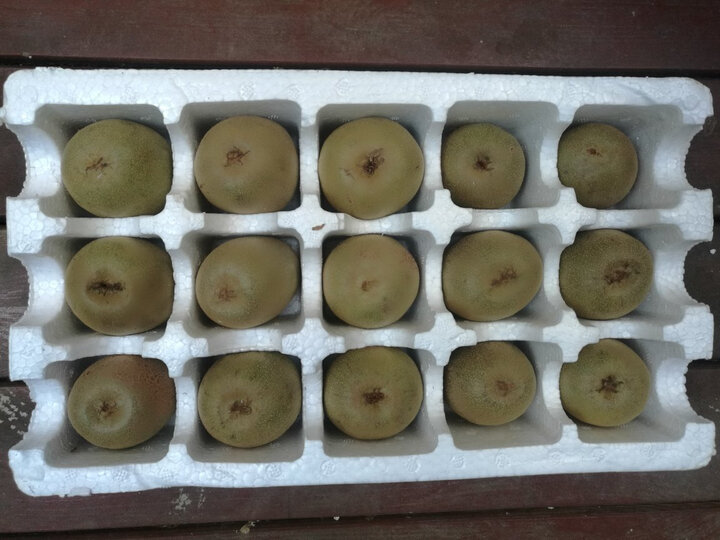 多吉祥农场:柑桔、橙子、石榴、猕猴桃、柚子