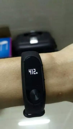 小乌龟活体怎么样_小乌龟活体多少钱_小乌龟