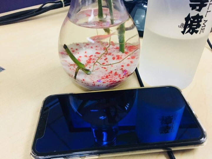 【分期用】Apple iPhone X (A1865) 256GB 银色 移动联通电信4G手机 晒单图