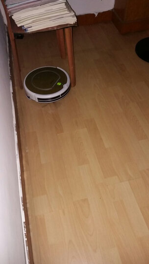 科沃斯(Ecovacs)地宝魔镜S(CEN540-LG)扫地机器人家用吸尘器全自动智能拖地机 晒单图