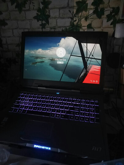 机械师F117-V全面屏游戏本九代i7-9750H/GTX1650独显吃鸡笔记本电脑 加强版9代i7/8G/512G PCIE固态 晒单图