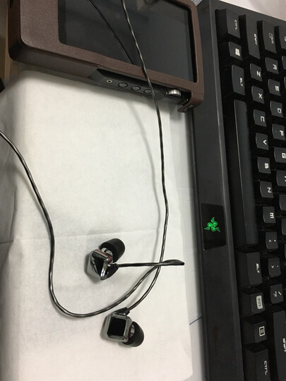 Fanmusic DX220双解码DSD512硬解无损音乐便携式MP3播放器 DX200升级版 DX200单身版【无耳放卡】 晒单图
