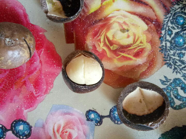 良品铺子夏威夷果:味道还可以,果不大肉有点发