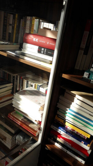 生态战略:设计未来企业新模式 晒单图