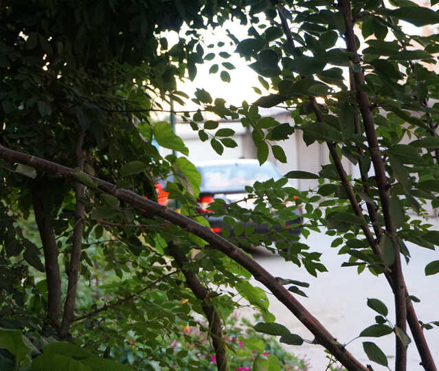 索尼(SONY) ILCE-6000L 标准单镜套装 黑色--订