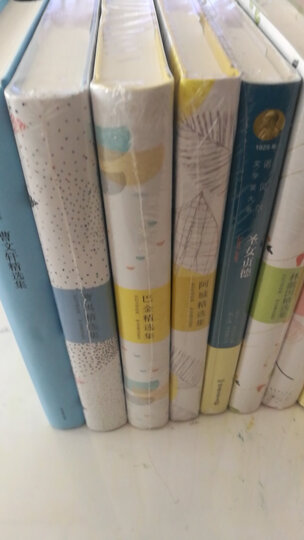 世纪文学经典:张晓风精选集 晒单图