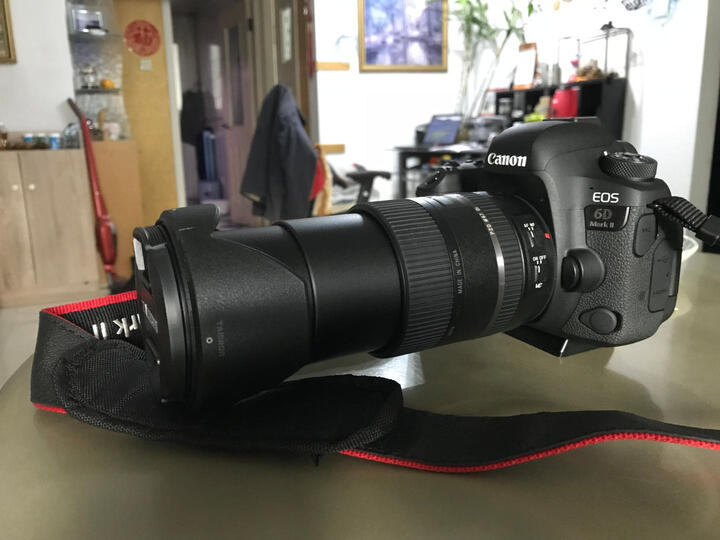 腾龙(Tamron) 单反变焦镜头 VC 70-300mm(A030) 新款 尼康卡口 晒单图