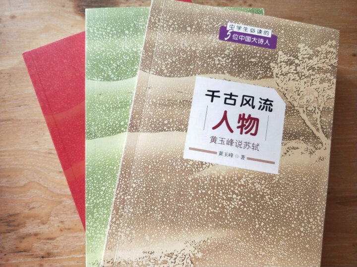 中学生必读的5位中国大诗人·诗圣是怎样炼成的：黄玉峰说杜甫 晒单图