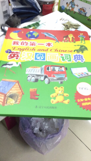 我的第一本英汉图画词典（中英对照，利于幼儿的汉语认知和英语启蒙；精装圆角设计，保护孩子的小手；本书带ting笔功能，ting笔需另行购买） 晒单图