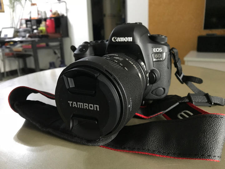 腾龙(Tamron) 单反变焦镜头 VC 70-300mm(A030) 新款 尼康卡口 晒单图