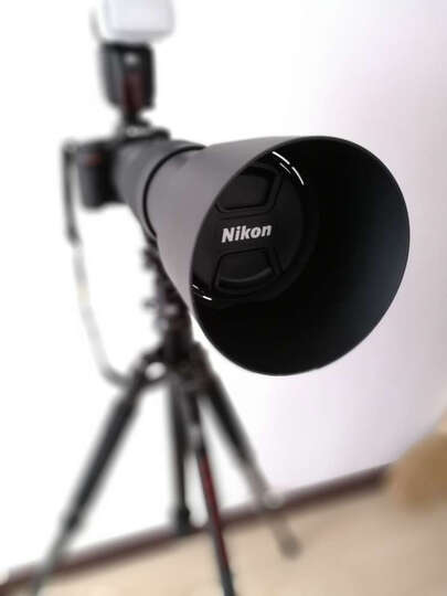 头多少钱_打鸟镜头价格,图片评价排行榜 – 京东