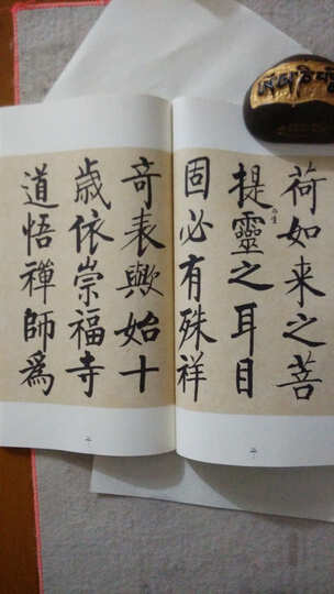 坚净居丛帖临写辑:启功临玄秘塔碑 晒单图