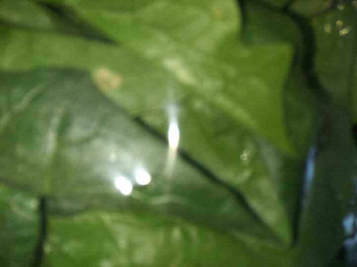 鲁花 自然鲜酱香酱油 1L 晒单图