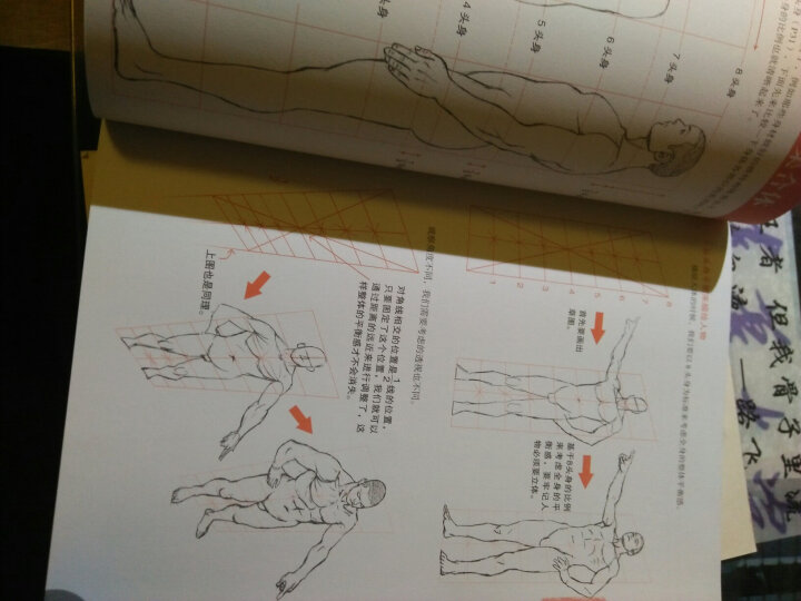 超级漫画创作技法图解教程：从人体解剖学习人物画法 晒单图