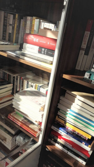 生态战略:设计未来企业新模式 晒单图