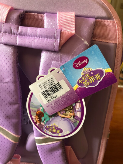 迪士尼（Disney）苏菲亚小公主儿童书包小学生书包 卡通轻便女款小学生双肩背包 SS80107紫色 晒单图