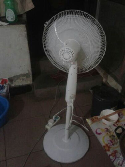 华生(Wahson)FS40-1102 电风扇\/落地扇--风力