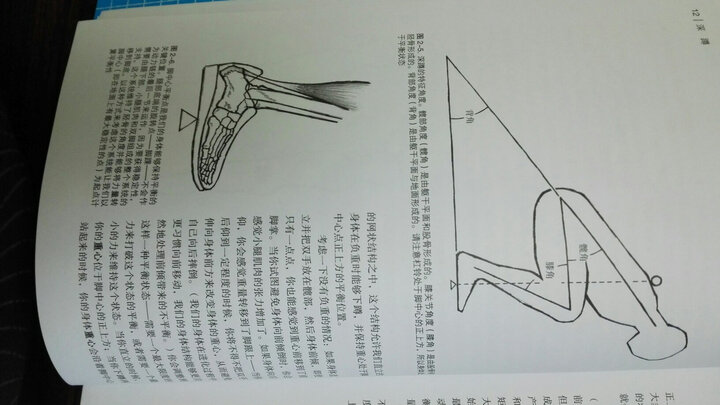 用5种杠铃动作极速发展身体实力:力量训练基础 晒单图
