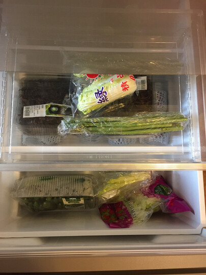 松下(Panasonic)405升日本进口多门冰箱 自动制冰 变频风冷无霜 银离子抗菌脱臭 NR-EC43VG-N5 晒单图