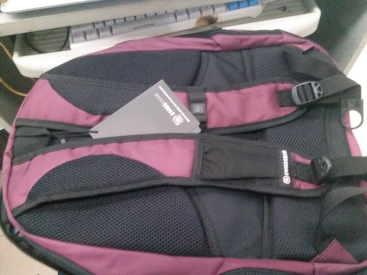 SWISSGEAR电脑双肩包 防泼水商务款15.6英寸双肩笔记本电脑包 男女学生书包背包 SA-0077紫色 晒单图