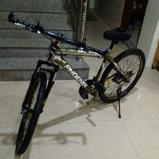 凤凰自行车跃途铝合金双碟刹21速山地车 时尚