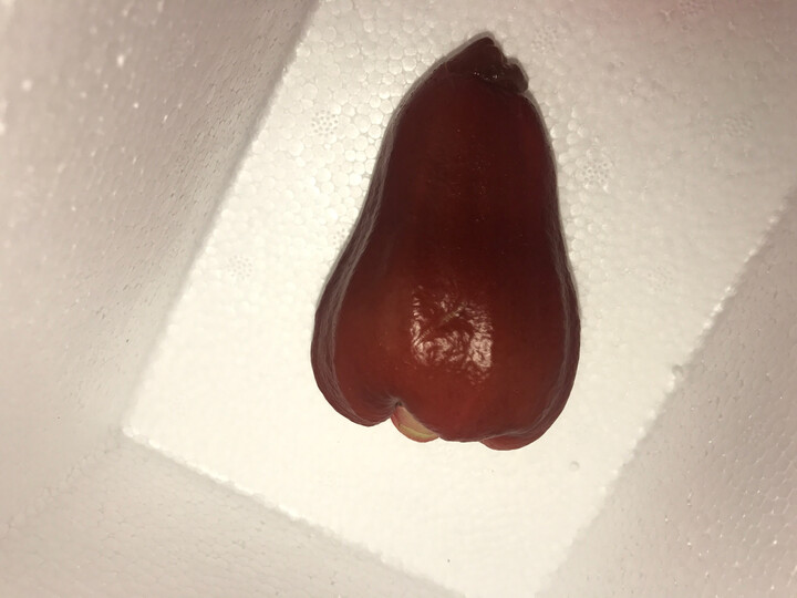 莲雾怎么样_台湾莲雾多少钱_台湾莲雾价格,图