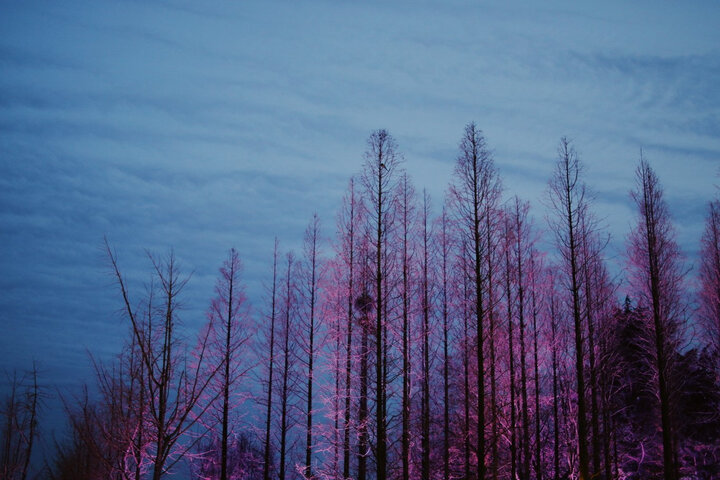 适马(SIGMA)ART 30mm F1.4 DC HSM 半画幅 大光圈标准定焦镜头 人像扫街(佳能单反卡口) 晒单图
