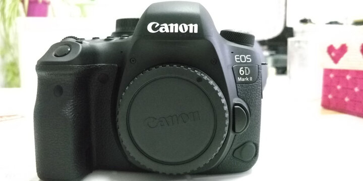 佳能(Canon)6D2 6D EOS 6D Mark II 佳能全画幅专业级数码单反数码相机 【官方标配】6D2+24-105 F4L II二代 晒单图