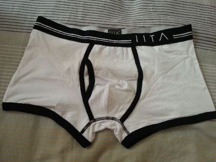 <em>IITA男士内裤</em>男士内衣天然棉莱卡亲肤透气平角