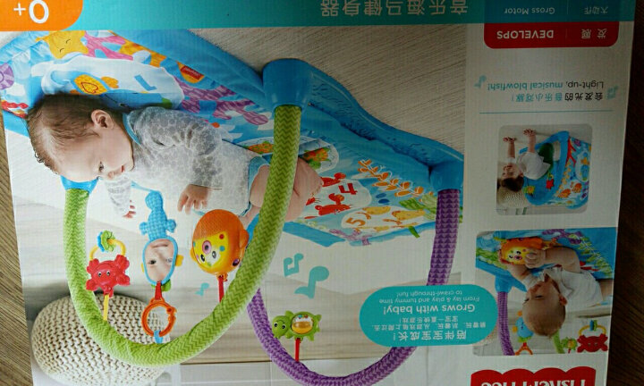 费雪（Fisher-Price）音乐海马健身器 DRD92 晒单图